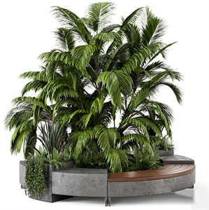 Outdoor Garden set bush and Tree Garden Set 158